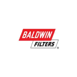 logotipo_baldwon