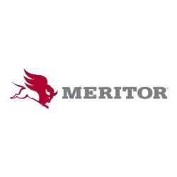 logotipo_meritor